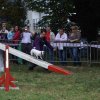 foire-haricots 2011-09-17et18